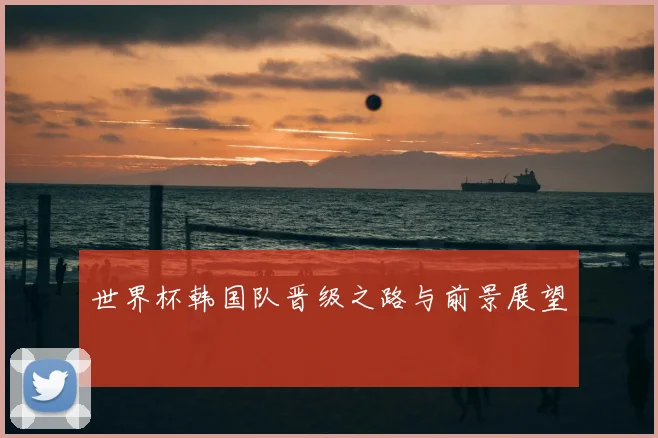 世界杯韩国队晋级之路与前景展望