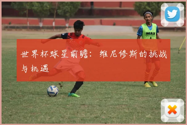 世界杯球星前瞻：维尼修斯的挑战与机遇
