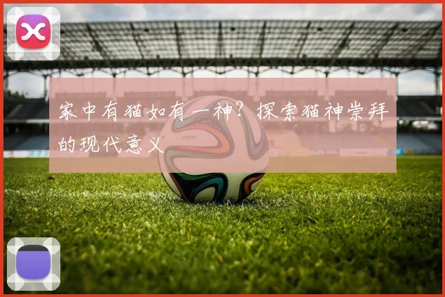 家中有猫如有一神？探索猫神崇拜的现代意义