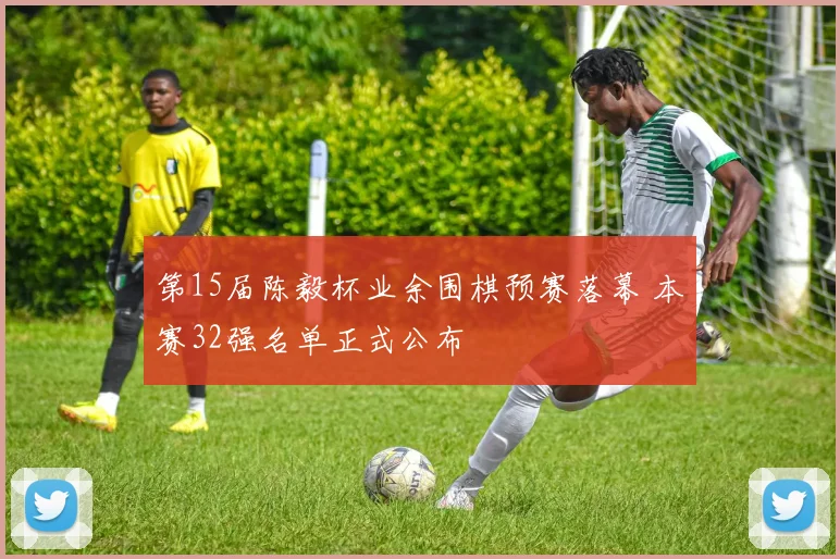 第15届陈毅杯业余围棋预赛落幕 本赛32强名单正式公布