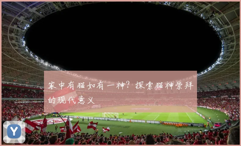 家中有猫如有一神？探索猫神崇拜的现代意义